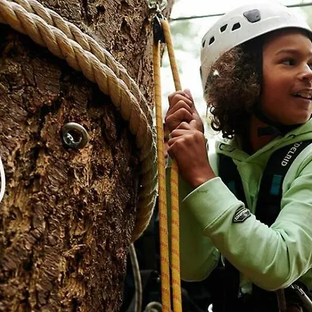 4 Persoons Boetiekchalet Met Hottub Voorthuizen
