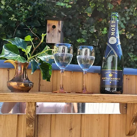 4 Persoons Boetiekchalet Met Hottub Voorthuizen