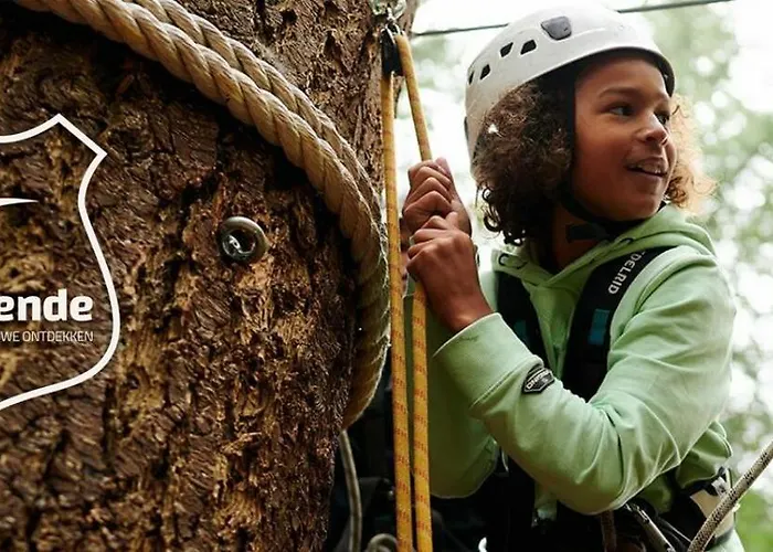 4 Persoons Boetiekchalet Met Hottub Voorthuizen