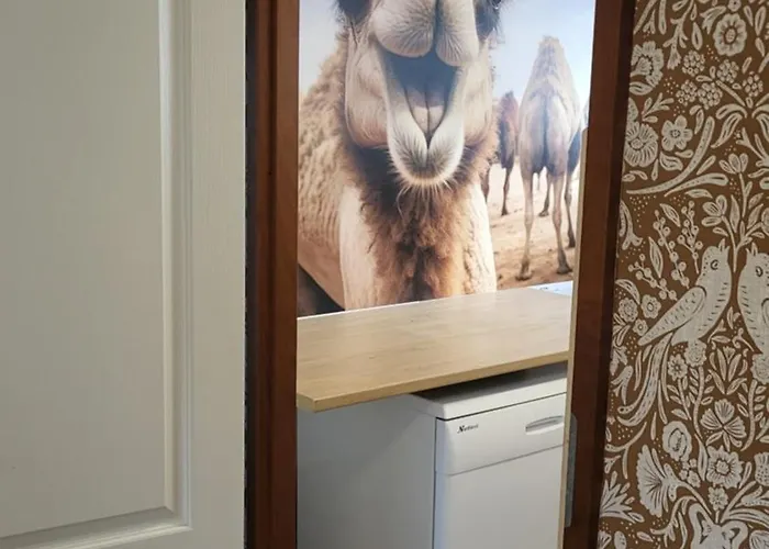 4 Persoons Boetiekchalet Met Hottub Voorthuizen