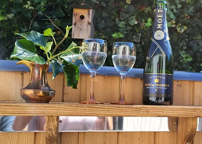 4 Persoons Boetiekchalet Met Hottub Voorthuizen