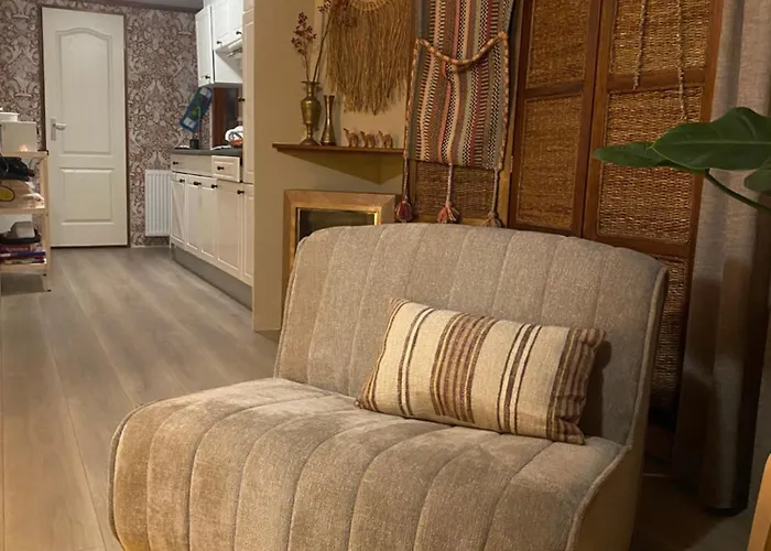 Chalet 4 Persoons Boetiekchalet Met Hottub Voorthuizen